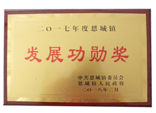 發(fā)展功勛獎