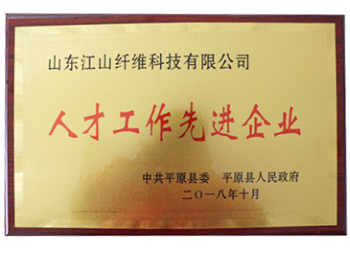 人才工作先進企業(yè)